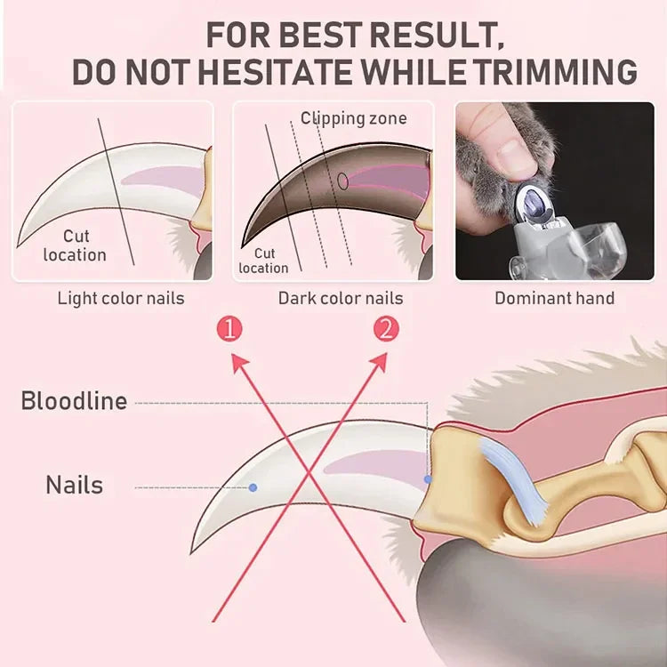 LED Light Pet Nail Clipper With Amplification Function Dog Cat Special Nail Trimmer Tool Pet Grooming Cleaning Supplies