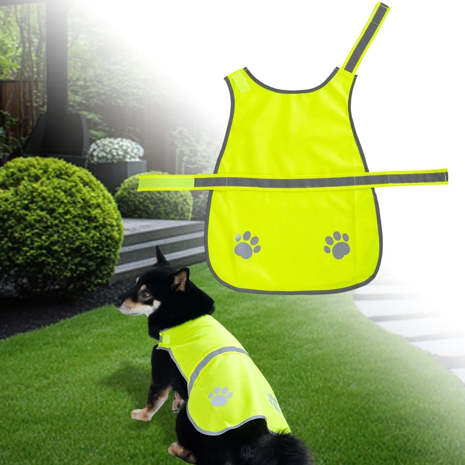 Reflective Gear