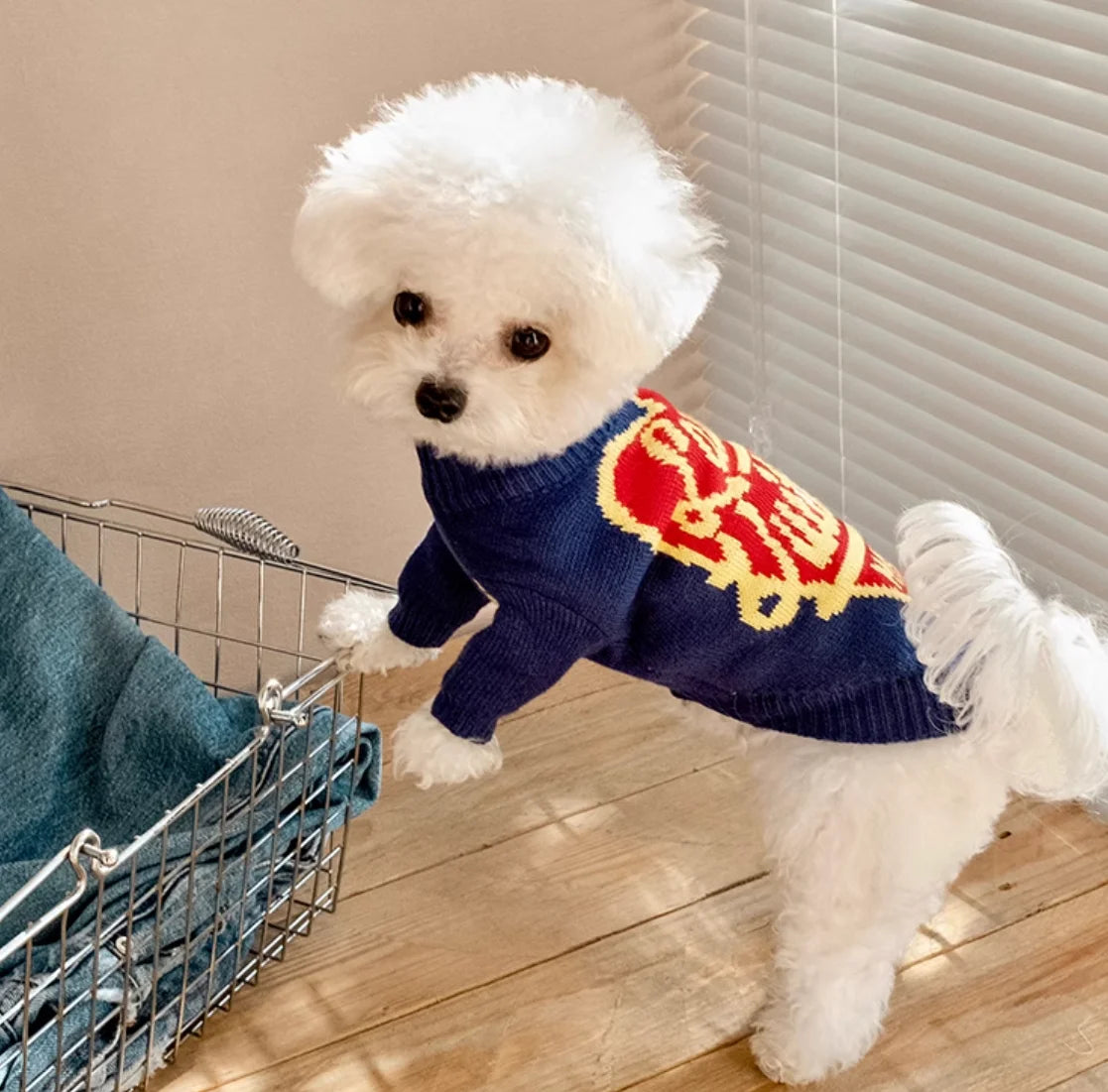 Cute French Fries Printed Soft Cotton Sweater for Pets High Quality Design Dog Jacket Small Animal Clothing for Cats
