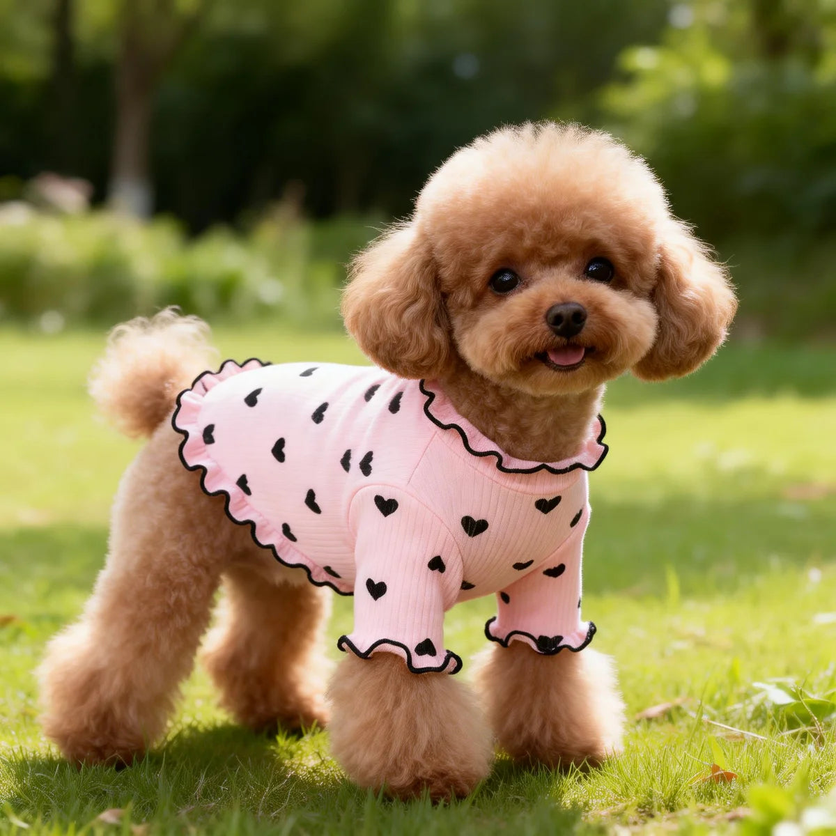 Pet T-shirt With Stretch Ribbed Heart Pattern Clothes Cute Home Vest Tshirt Suitable For Dogs And Cats