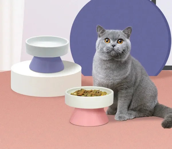Cat Ceramic Raised Food Bowl, Elevated Pet Feeder, Tower Shaped, for Cats & Dogs
