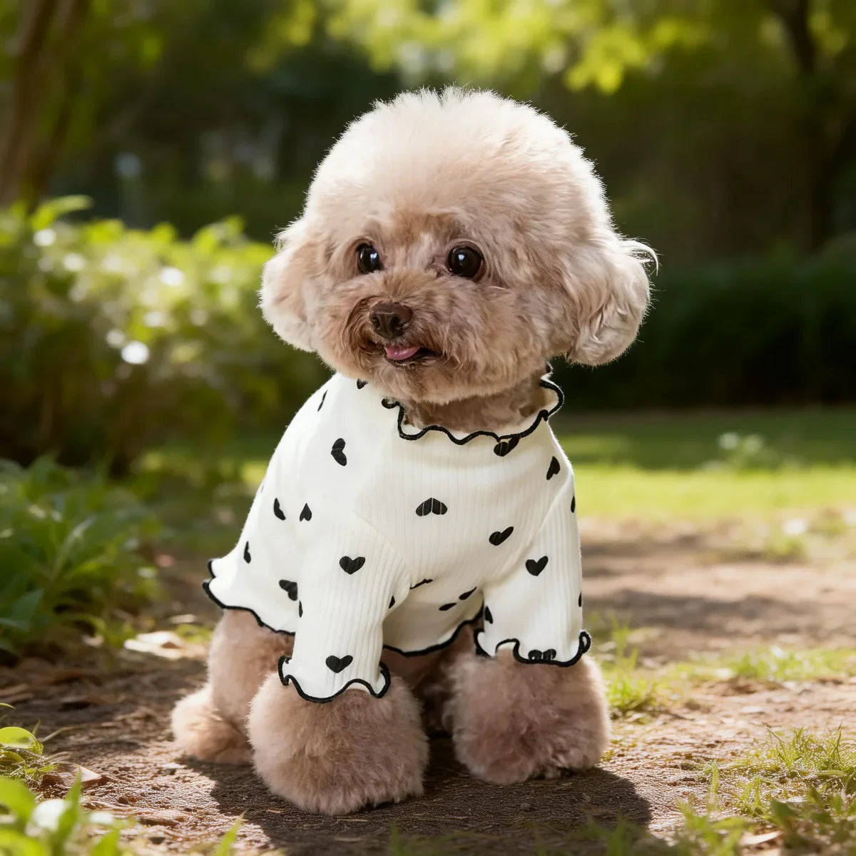 Pet T-shirt With Stretch Ribbed Heart Pattern Clothes Cute Home Vest Tshirt Suitable For Dogs And Cats
