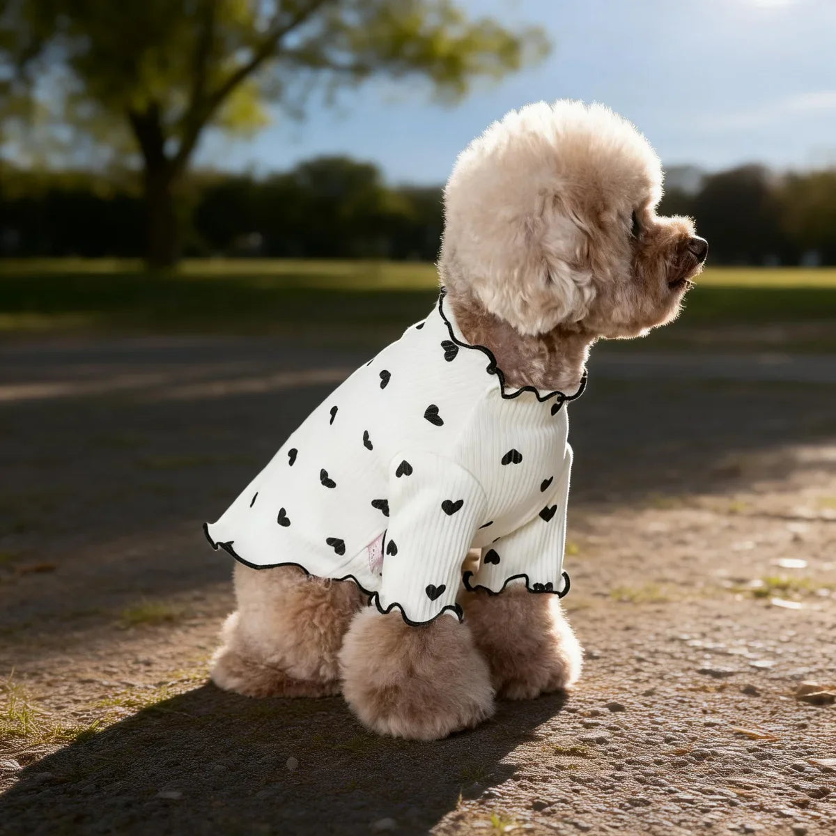 Pet T-shirt With Stretch Ribbed Heart Pattern Clothes Cute Home Vest Tshirt Suitable For Dogs And Cats
