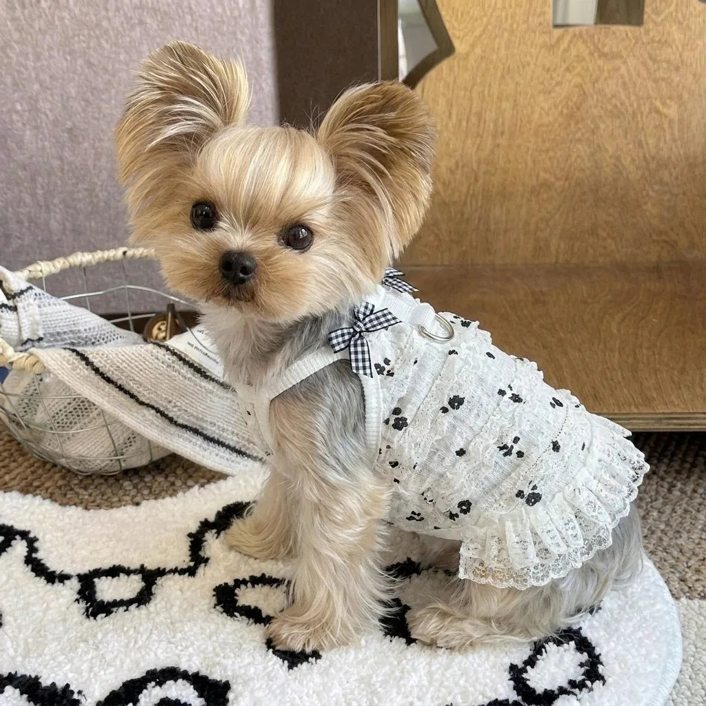Small Dog Dresses Spring Cute Bowknot Lace Pet Dress Sleeveless Vest Puppy Outfits For Teddy Small Dogs Cats Girl Dog Clothes