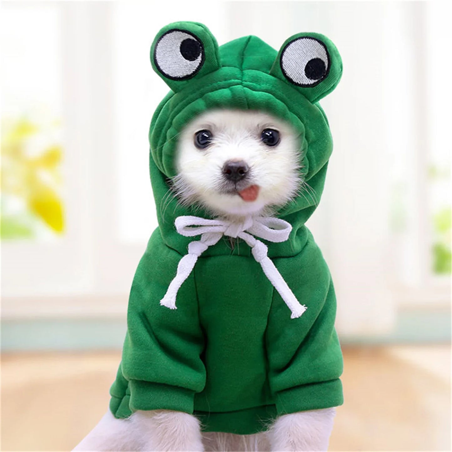 New Dog Hoodie Clothes Cute Design Sweater Coat Carrot  Frog Shape Warm Fleece Outdoor Pet Outfit Outerwear for Dogs Puppy